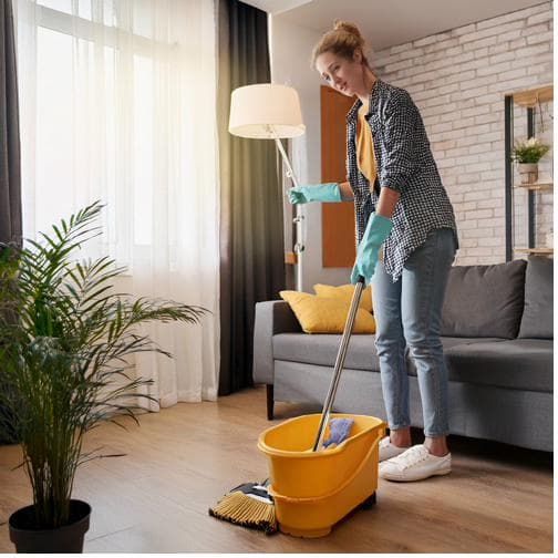 Light Housekeeping